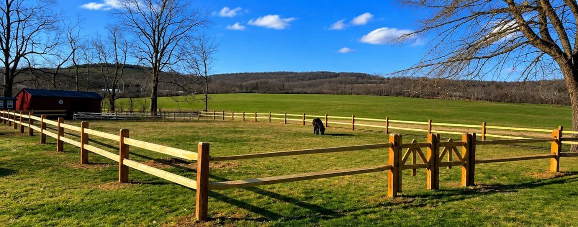 Wood split-rail fence around a pasture